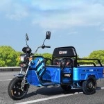 Electric Tricycle Truck