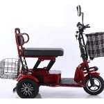 Small Three-Wheeled Folding Scooter