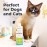 Pet Dental Care Solution Pet Water