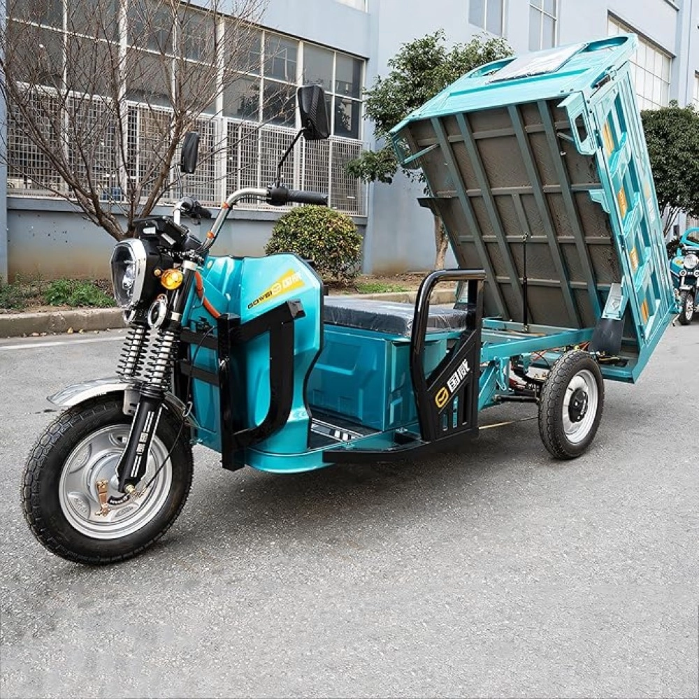 Tricycle with cargo