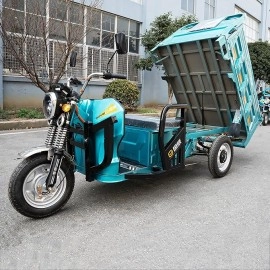 Tricycle with cargo