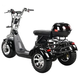 Tricycle Motorcycle Moped Mobility Scooter