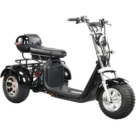 Tricycle Motorcycle Moped Mobility Scooter